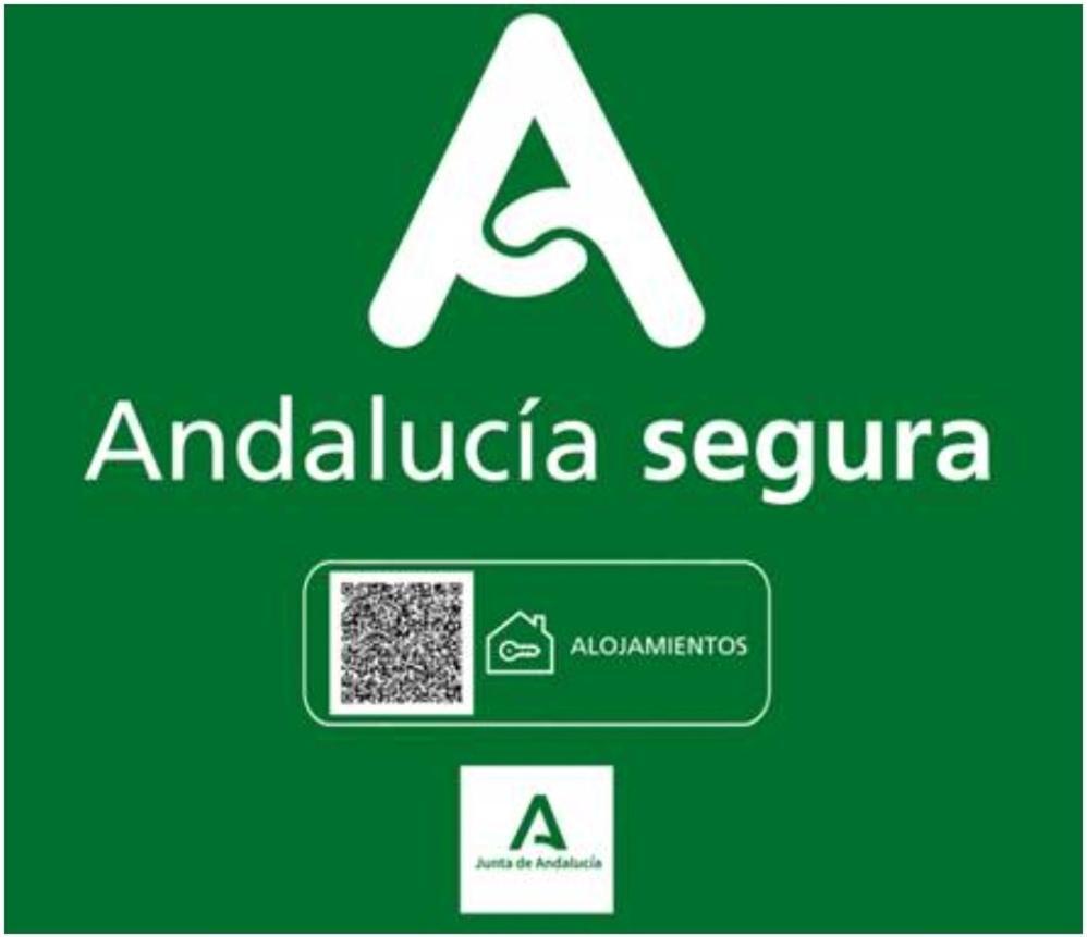 Todosierranevada Zona Baja - Edificio Alhambra - Junto A Los Telecabinas Sierra Nevada Esterno foto